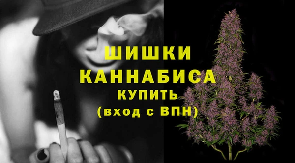 PSILOCYBIN Дмитров