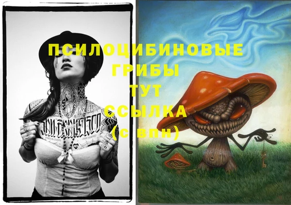 spice Дмитровск