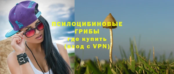 spice Дмитровск
