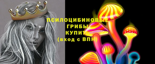 PSILOCYBIN Дмитров