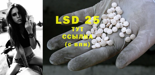 PSILOCYBIN Дмитров