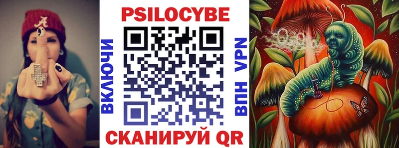 Купить где  Кандалакша  Галлюциногенные грибы мицелий 