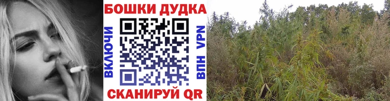 Купить  Кандалакша  Шишки марихуана тримм 